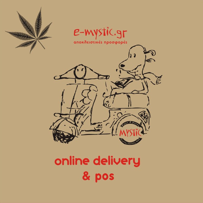 mystic delivery and pos