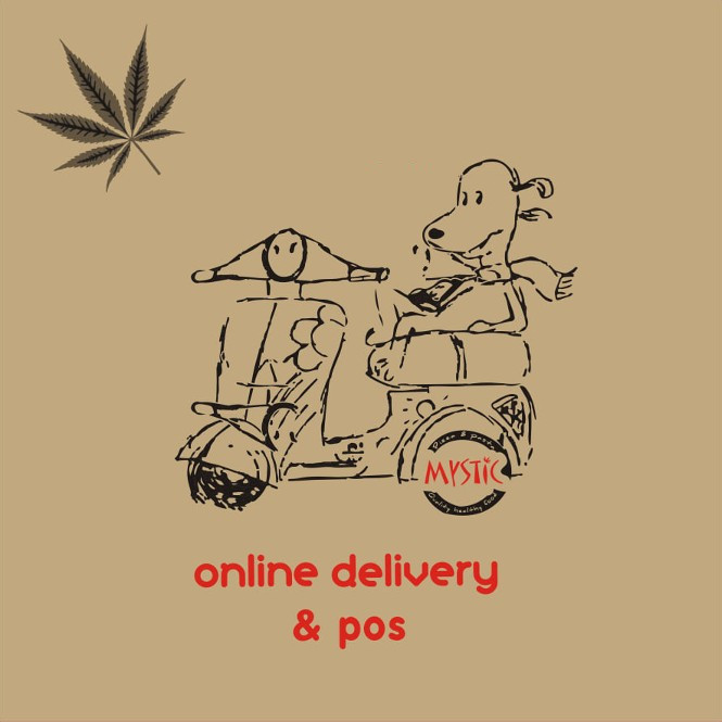 mystic-delivery-plain